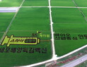 SK케미칼, 독감백신 개발 기념 안동시와 손잡고 ‘벼농사’ 활동