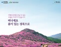 “봄 여행주간, 볼거리 가득한 경북으로 가자”