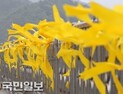 ‘세월호 참사’ 장편영화로 제작된다…내년 여름 촬영 예정