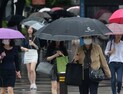 [내일 날씨] 전국에 5~60㎜ 비소식… 바람 강해 체감온도 ‘뚝’