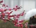 [오늘날씨] 전국 흐리고 저녁부터 ‘비’…낮 기온, 어제보다 ‘포근’