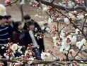 [오늘 날씨] 전국 맑음 밤낮 기온차 15도…중국발 황사 유의