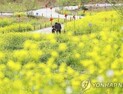 [오늘 날씨] 봄기운 가득…전국 맑고 포근