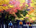[날씨] 쌀쌀한 가을날..체감온도 '뚝'