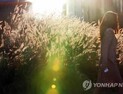 [오늘날씨] 전국 맑지만 쌀쌀… 미세먼지 ‘보통’