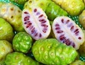 미란다 커도 주스로 마신 '노니' 관심 급증…효능은?