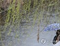 한식, 전국 ‘봄비’… 미세먼지 ‘나쁨’