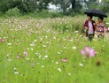 [오늘 날씨] 전국 흐려요… 일부 지역 오후 소나기