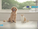 쏘카‧AXA손해보험, 운전자보험 ‘스페셜’출시…사용자 보장 확대