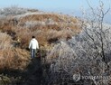 16일 오전 안개, 낮엔 대체로 맑고 포근