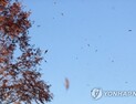 [오늘 날씨] 눈 안 내리는 포근한 ‘소설’…일교차 10도 이상
