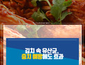[카드뉴스] 김치 속 유산균,  충치 예방에도 효과