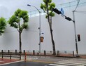 분양가 5000만원도 로또, 강남권 재건축 고공행진 언제까지