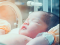 ‘발달 지연’ 이른둥이 10명 중 2명만 재활치료 “왜?”