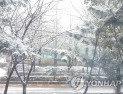 서울 전역 비롯 전국 곳곳 많은 눈… 최대 7㎝ 쌓인다 