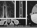 무속인이 코로나19 전망? 유튜브 가짜 건강 정보 천태만상