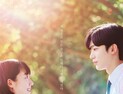 카카오TV ‘아름다웠던 우리에게’, 넷플릭스로도 본다
