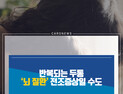 [카드뉴스] 반복되는 두통 ‘뇌 질환’ 전조증상일 수도