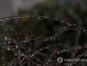 눈이 녹는다는 ‘우수’…전국 맑고 포근