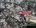 [날씨] 24일 흐려지다 밤부터 전국 비…일교차 주의