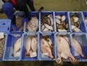 싱가포르, 후쿠시마산 식료품 수입 금지 해제‥원전사고 후 9년만