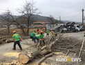 [포토] 주택가 인접 ‘위험목’ 제거 구슬땀
