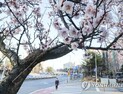 [오늘날씨] 출근길 ‘맑음’… 전국 미세먼지 ‘보통’