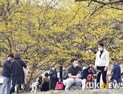 [날씨] 맑고 포근한 화요일…수도권 오전 미세먼지