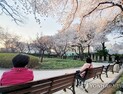외출자제,모임 불참 등 '사회적 거리두기' 국민참여 90% 넘어