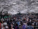 도쿄서 코로나 신규 확진 131명…사흘 연속 상승세