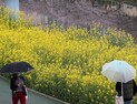 [오늘날씨] 낮·밤 기온차 10도 이상…일부 지역 비