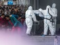전 세계 코로나19 감염자 450만명 초과