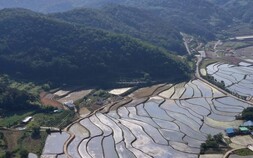 다랑이논의 아침  “무논의 변신은 무죄”