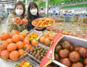토마토로 면역력 키우고 건강도 지키세요!