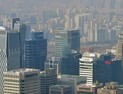 집 못 사도 주식은 산다는데...<br>'마마·파파개미' 조심