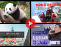 에버랜드, 유튜브 구독자 50만 돌파…‘구독자 애칭' 공모 진행