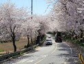 [날씨] 6일, ‘구름 있지만 맑음’… 일교차는 15도 안팎