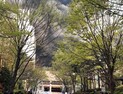 남양주 주상복합 화재…도농역 무정차 통과 