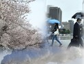 익숙한데 낯선 ‘그린뉴딜’ ‘탄소중립’, 대체 무슨 말?