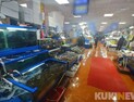 공정위, 도매가 조작 ‘산낙지 게이트’ 적발