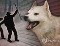 개 물림 사망 또 발생...견주 처벌 안 될 듯