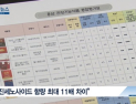 [쿠키건강뉴스] 스틱형 홍삼 제품, 진세노사이드 함량 제각각