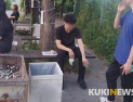 전자담배, 일반담배의 대체재로 관문효과 가능성은 희박