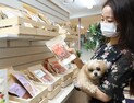 반려동물 1500만 시대…유통가, 펫펨족 공략 ‘각축전’
