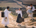 18C 청산도 무당집 과부, 과거길 표류 선비와 사랑을 나누다