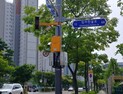   인천경제청, 송도·영종·청라 등 17곳 스마트 횡단보도 설치