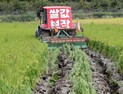 쌀값 폭락, 피눈물 나는 농민들…정부 “尹 대통령 요청했다”