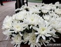 ‘깊은 애도를 전합니다’ 유통업계 대형행사 취소·중단