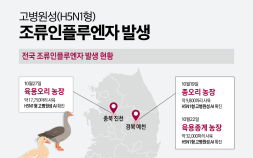 고병원성 조류인플루엔자 발생