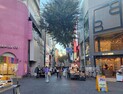 “이태원 참사로 분위기가”…명동거리에 ‘코세페’는 없다